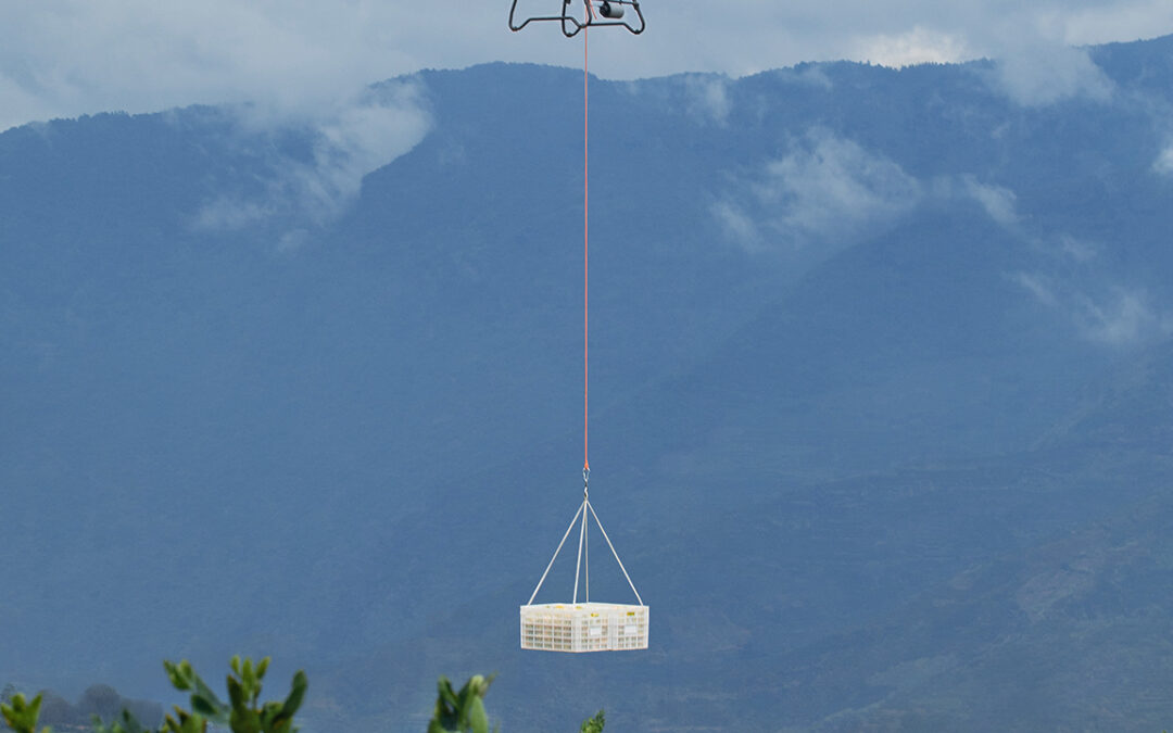 Por primera vez en Chile: Llega dron agrícola con capacidad de carga de hasta 100 kilos