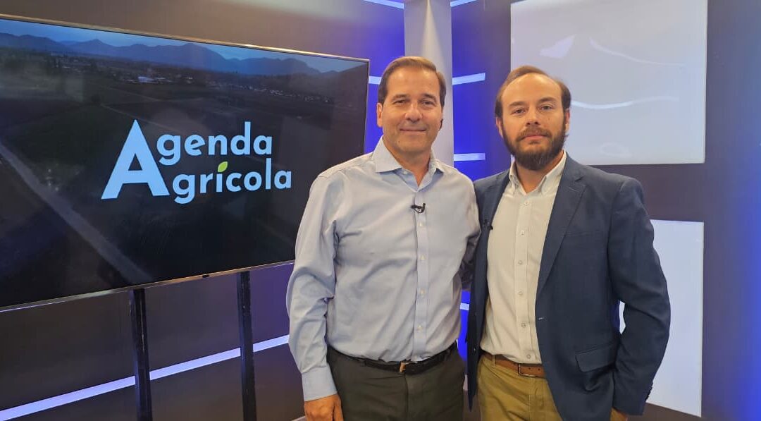 La revolución de la IA en el campo chileno: la tecnología que está transformando la agricultura
