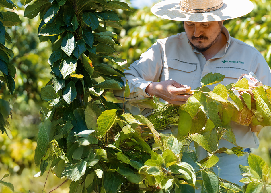 La tecnología llega al campo innovando los procesos productivos